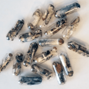 MICRODOSING MUSHROOMS